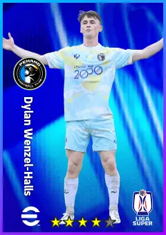 Player