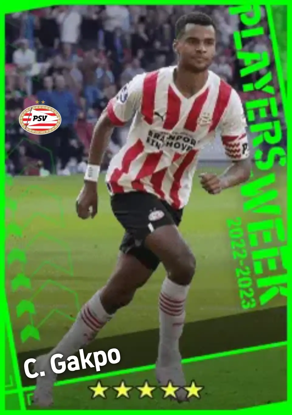 Player