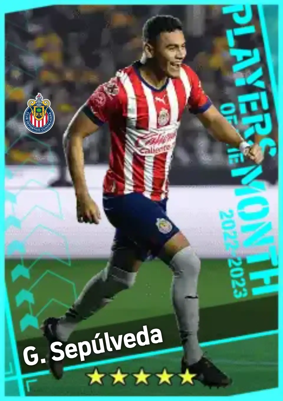 Player