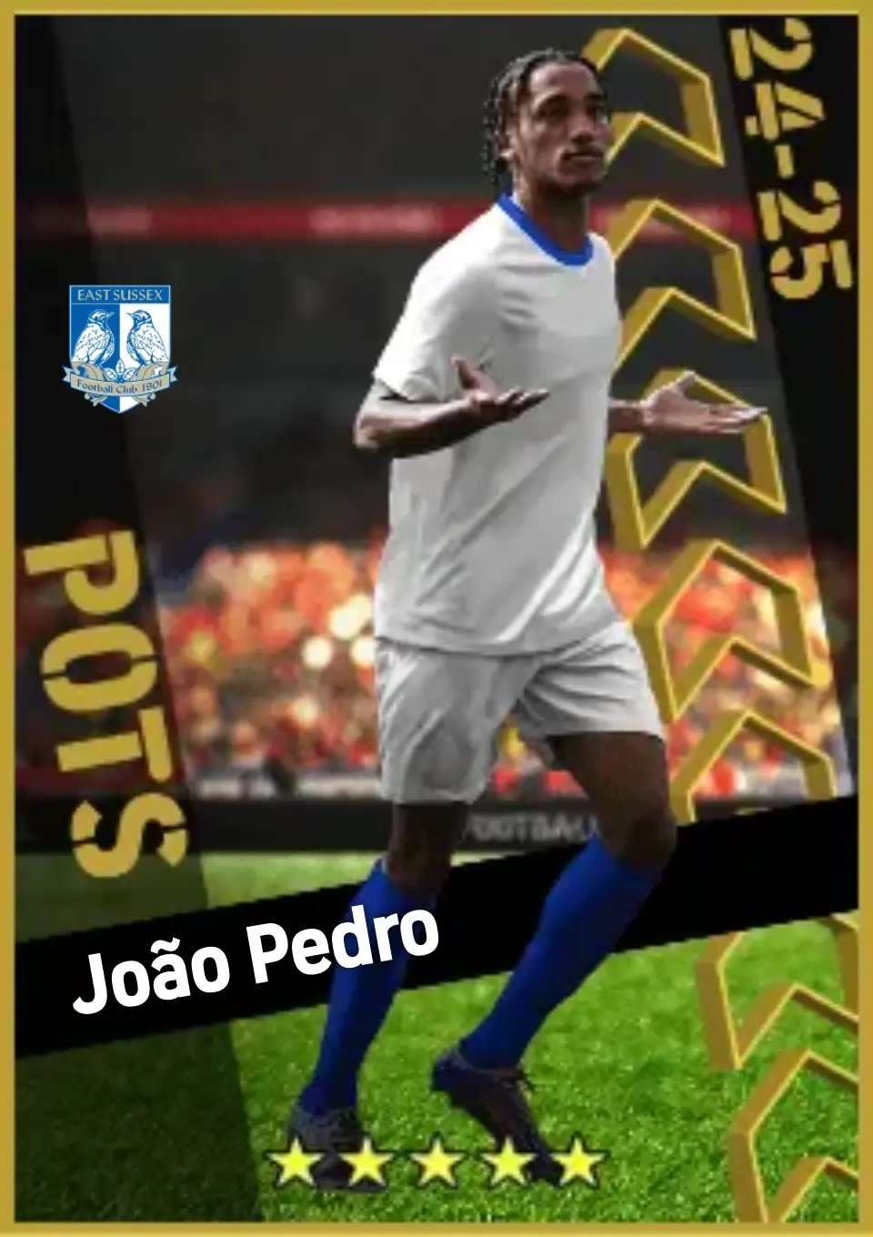 Player